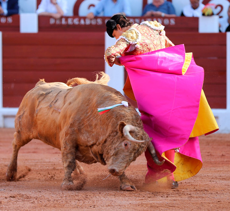 Bullfighting Gijón